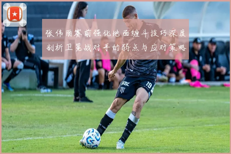 张伟丽赛前强化地面缠斗技巧深度剖析卫冕战对手的弱点与应对策略